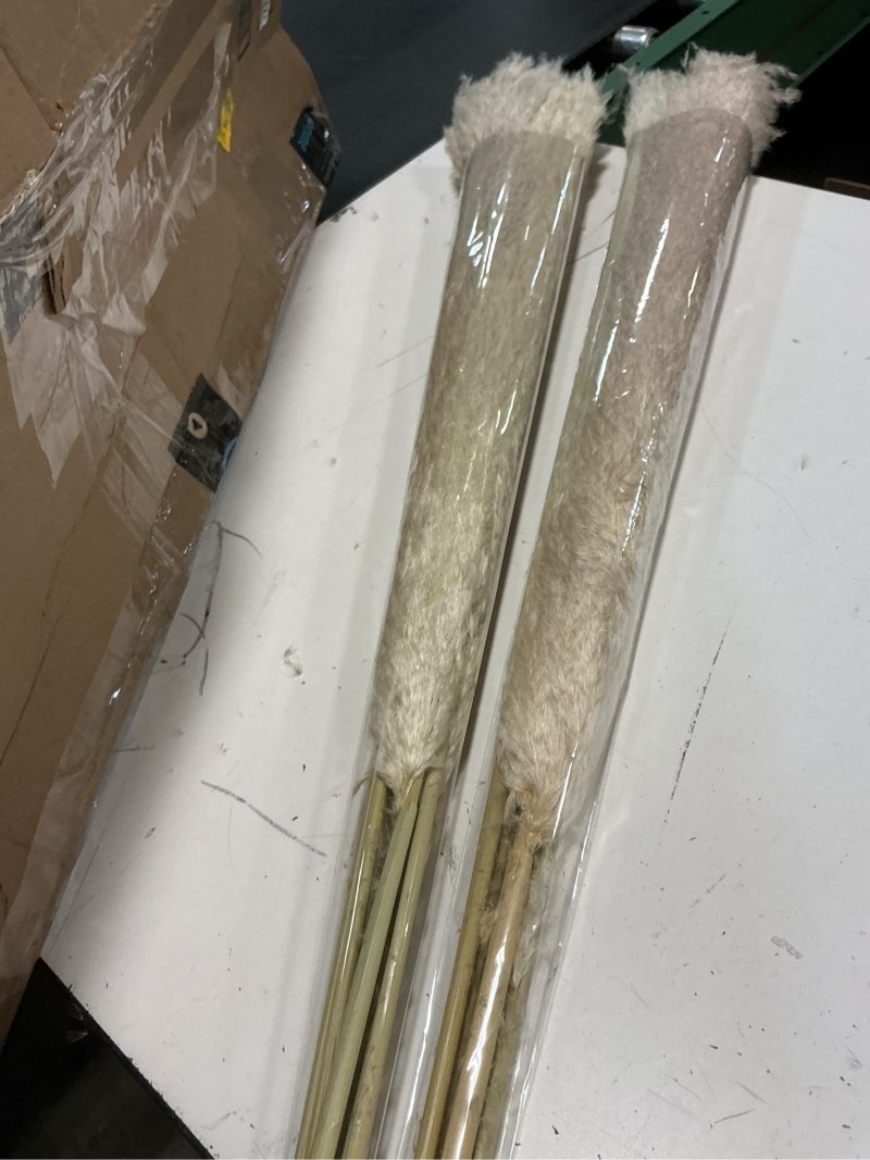 Condition photo showing New/Like New for 40" inch 10 stems natural pampas grass decor tall, pompas grass, tall pampas grass for wedding, party, farmhouse, boho home decor