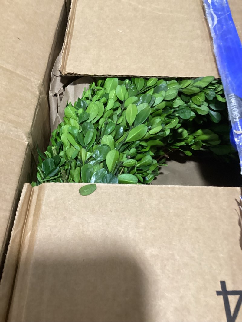 nearly natural 14in. preserved boxwood wreath