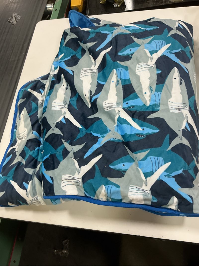 Condition photo showing Good Condition for wildkin kids plush nap mat for toddlers, daycare & preschool nap mats, attached blanket (sharks)