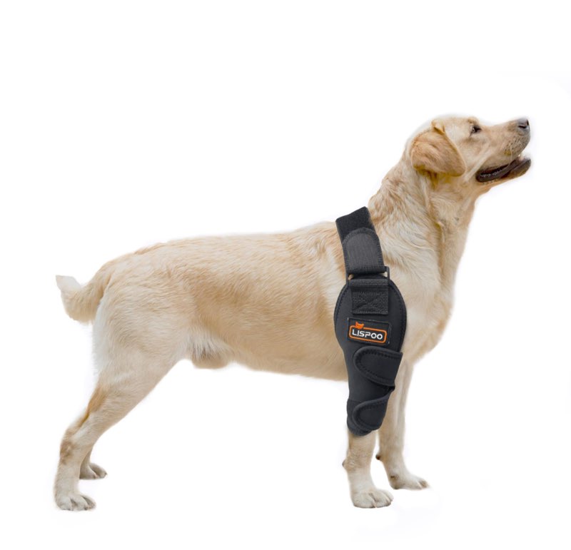 Dog Elbow Brace for Shoulder & Front Leg, Canine Elbow Wrap for Shoulder Dislocation, Pressure Sores, Elbow Injury and Loss of Stability from Arthritis-Right Leg