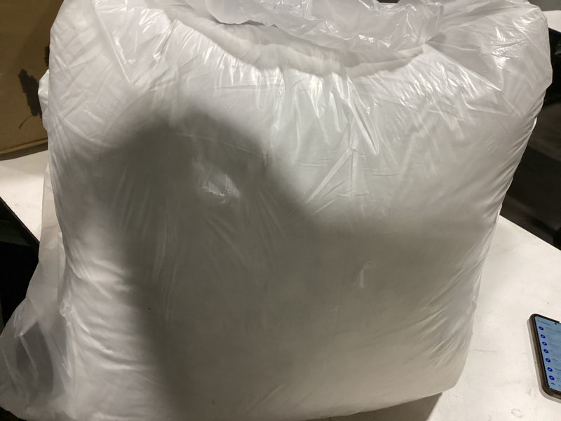 Condition photo showing Good Condition for 20x20 Decorative Throw Pillow Inserts-Down Feather Pillow Inserts-Square-Cotton Fabric-Set of 2-White.