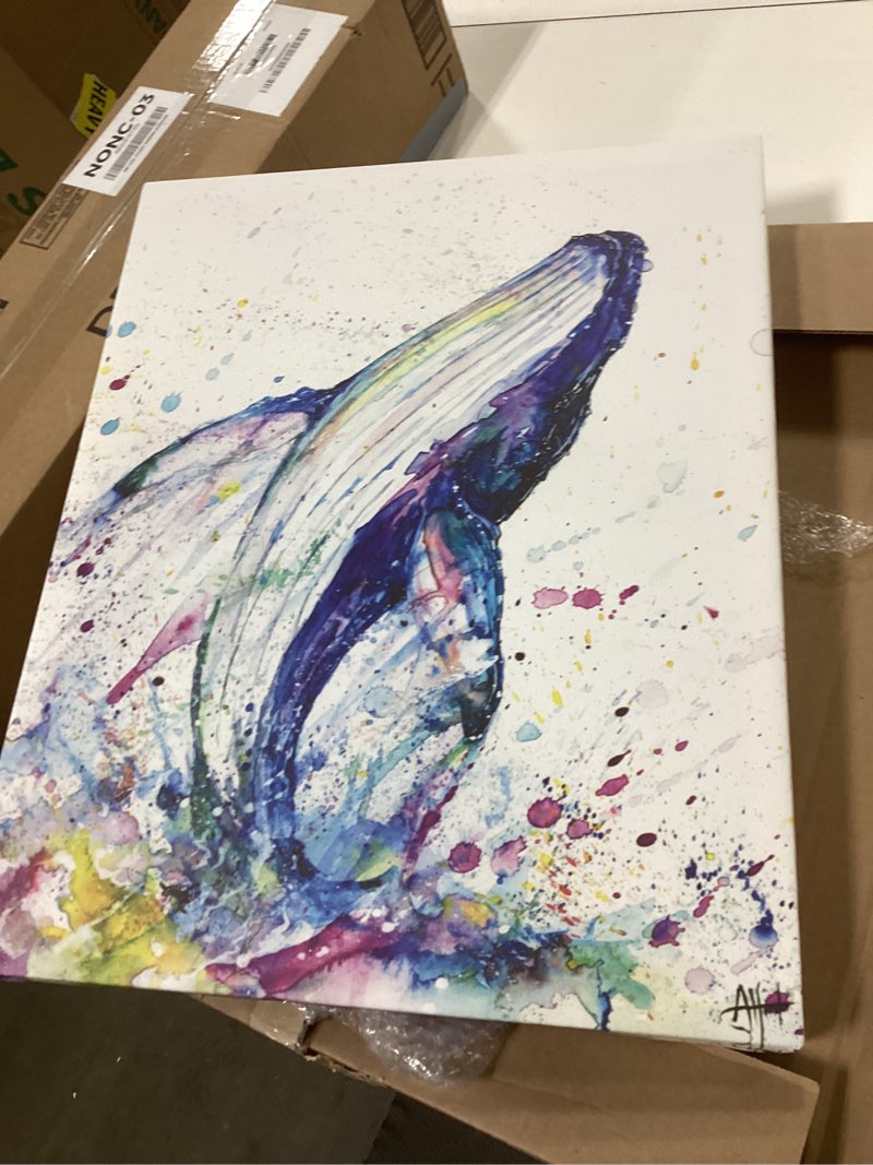 Condition photo showing Good Condition for Stupell Industries Colorful Ocean Sea Whale Animal Watercolor Painting, Design by Artist Marc Allante Art, 13 x 0.5 x 19, Wall Plaque