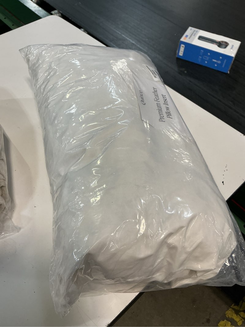 Condition photo showing As Is for premium feather pillow insert (set of 2), 12x20, no color