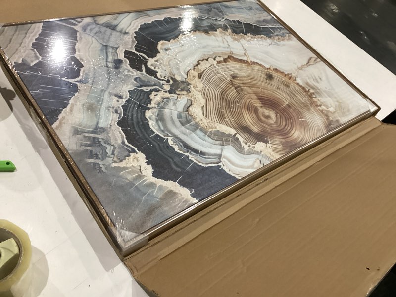 Condition photo showing As Is for bingruiart framed tree ring canvas wall art abstract wood wall decor boho modern colorful nature painting wood stump prints pictures for living room bedroom bathroom office 16"x24" natural framed(06)