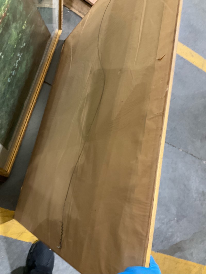 Condition photo showing As Is for framed art paint