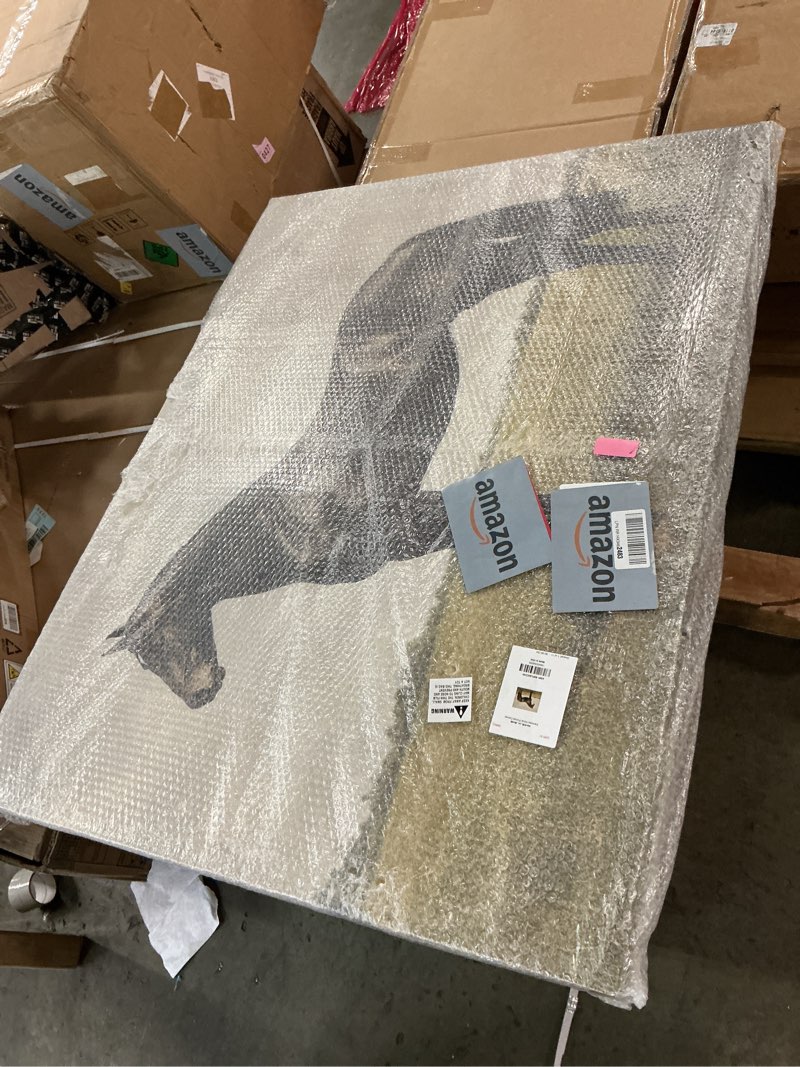 Condition photo showing As Is for Stupell Industries Espresso Horse Portrait Canvas Wall Art design by Petal Prints Design, 36 x 48 Green Wrapped Canvas 36"L x 48"W