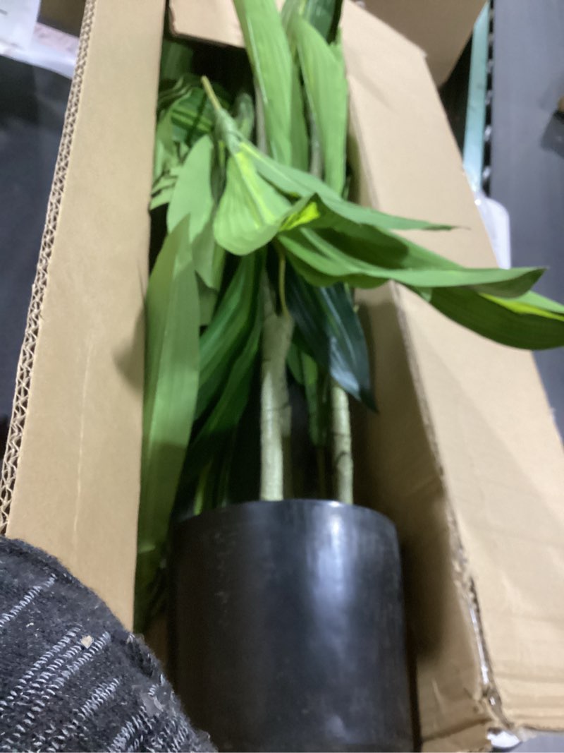 Condition photo showing Good Condition for Dracaena Plant Artificial Tree 5Ft Tall Fake Tropical Floor Plants Potted (Real Touch) Artificial Silk Tree Leaf Faux Trees Black Tall Planter for Home Office Living Room Indoor Outdoor Decor 1 5ft