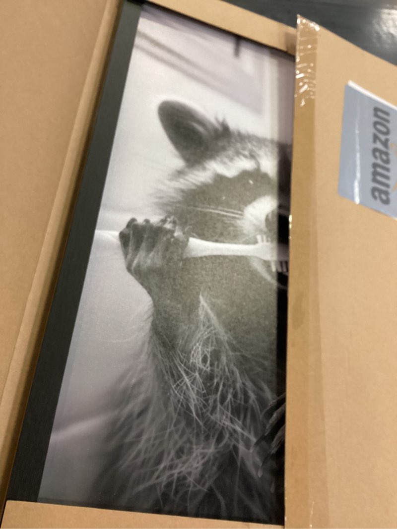 Condition photo showing Good Condition for SYWENNOI Framed Black and White Bathroom Canvas Wall Art, Funny Raccoon Brushing Teeth Wall Decor, Farmhouse Humor Animal Art Prints for Restroom Decoration Ready to Hang 16x24 Inches 16x24 Inches Raccoon brushing teeth