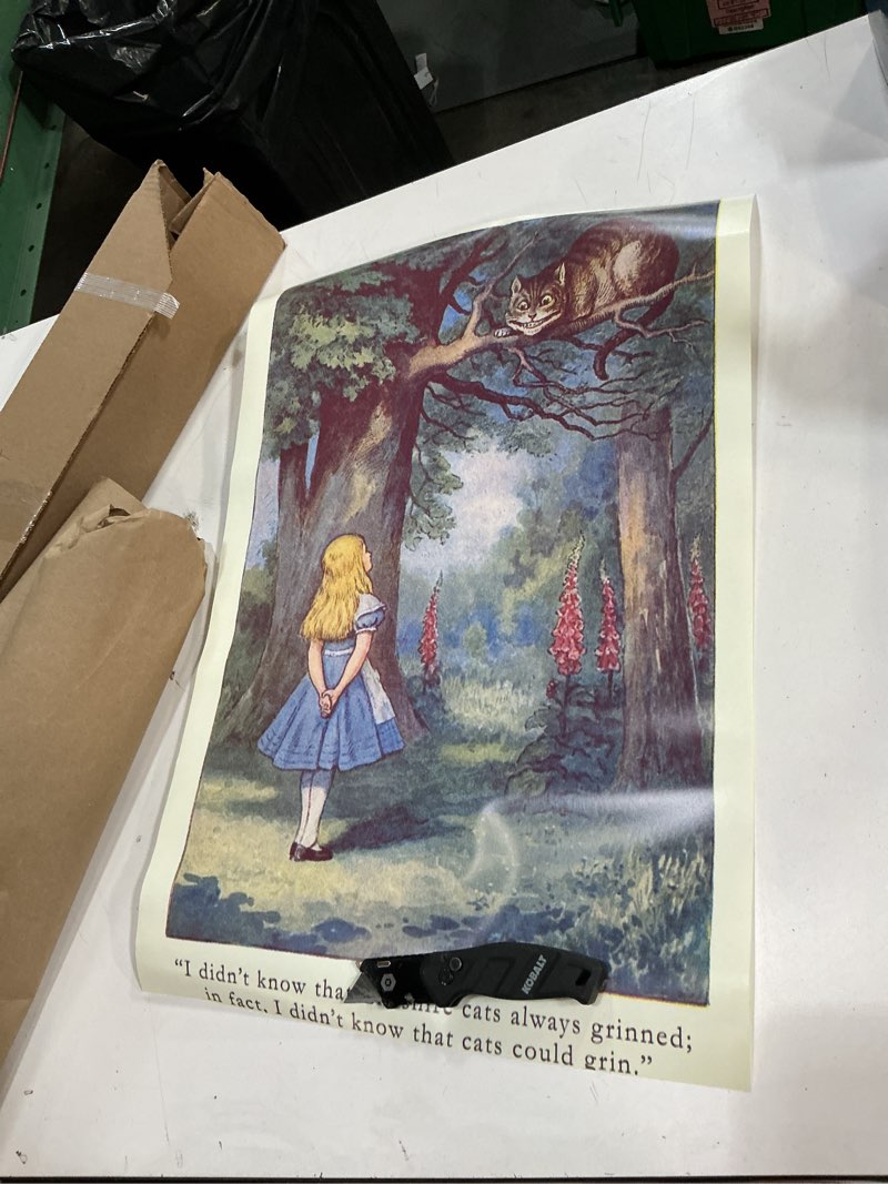 Condition photo showing As Is for art.com wall art print alice in wonderland, cheshire cat, 16" x 24"