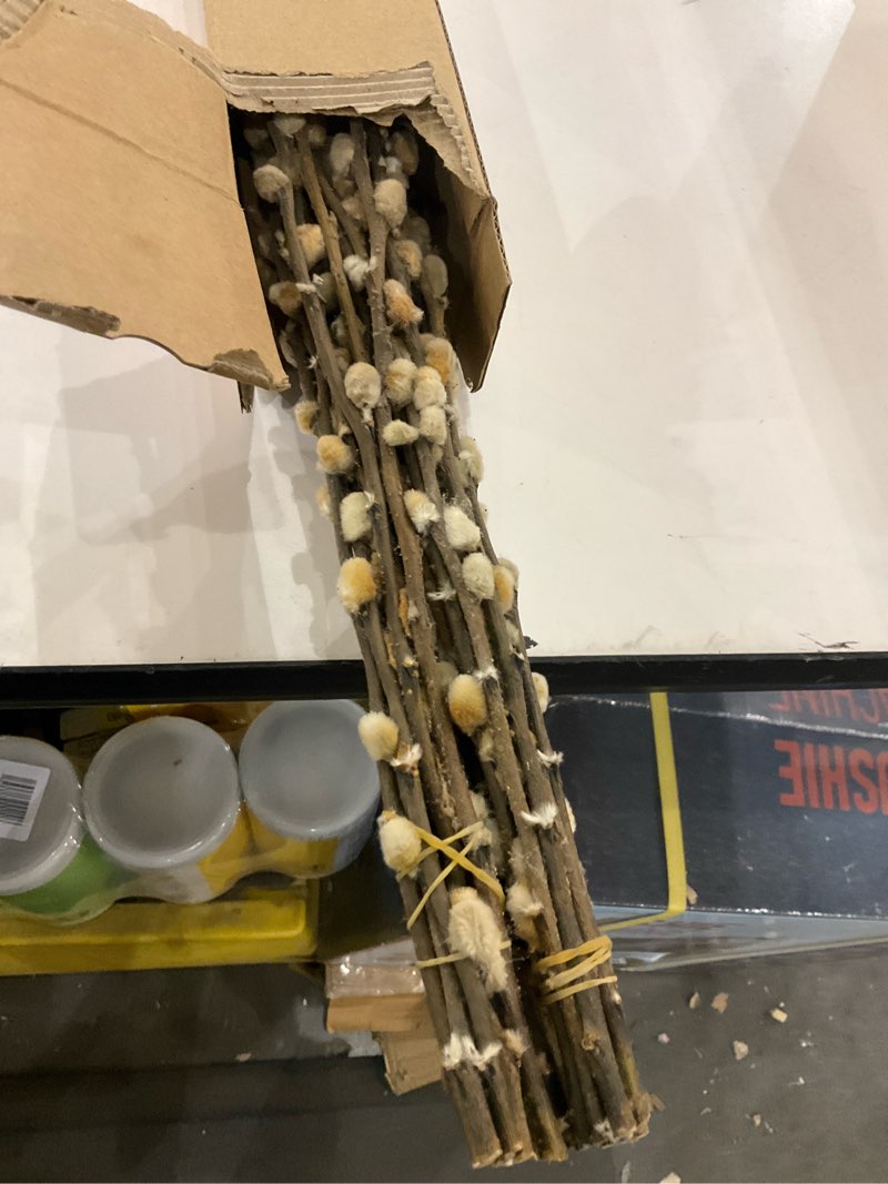 Condition photo showing Good Condition for 30 Branches Pussy Willow Branches for Vases 23 Inches Natural Dried Pussy Willows Real Dried Flowers 2 Years Long Lasting for Home Decoration