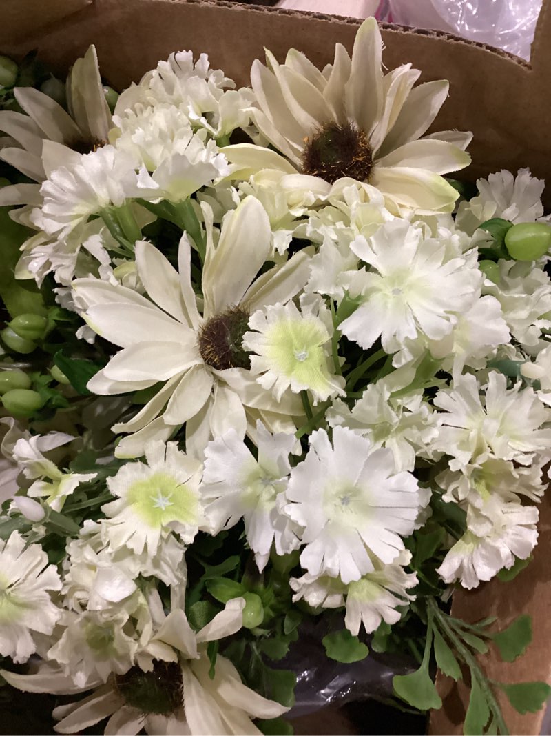 Mixed Daisy Arrangement w/Vasa White