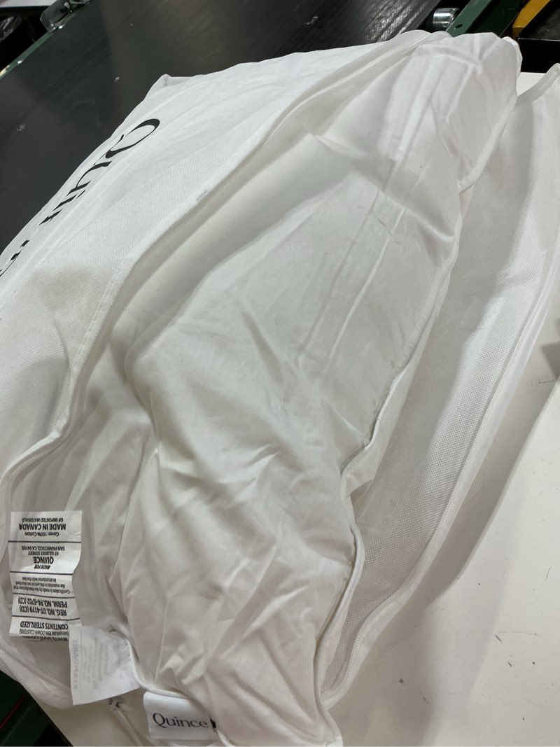 Condition photo showing As Is for premium down pillow standard 
