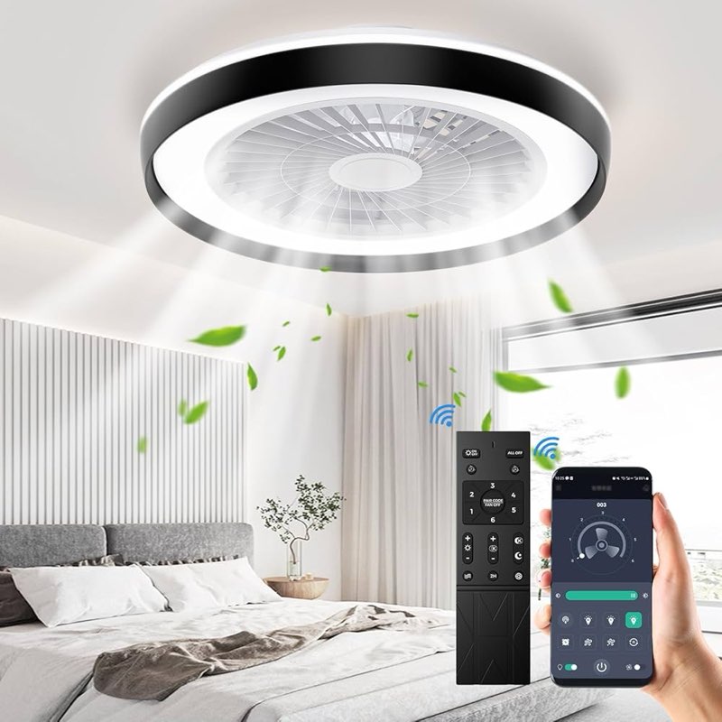 19'' modern ceiling fan with light