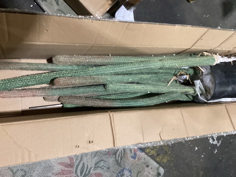 Condition photo showing As Is for tall uv resistant faux cactus plant?60in realistic texture tall fake plant, artificial cactus large with black pot indoor outdoor for home office living room bedroom foyer porch decor. 60 in