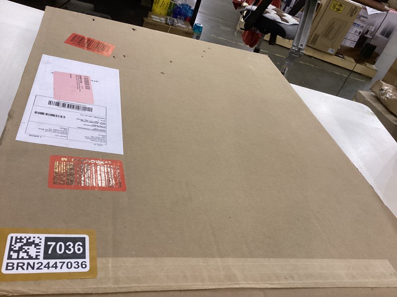 Stupell Industries Book Stack Fashion French Bulldog, Design by Amanda Greenwood