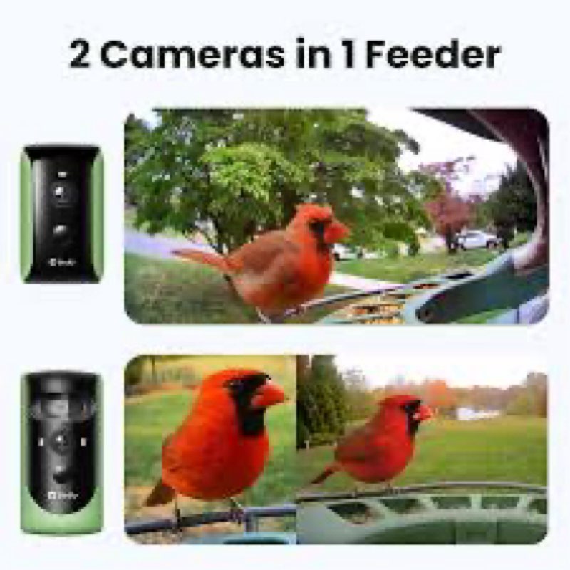 Birdfy 2 Smart Bird Feeder with Camera, Dual-Lens (2K+1080P) Camera for Live Streaming & Close-Up Ph