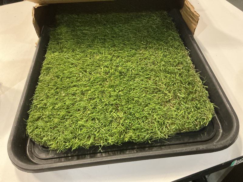 Condition photo showing Good Condition for Ottomanson Artificial Grass Puppy Potty Training Pad with Tray, 15" x 30" Reusable Pee Pad for Small Pets and Dogs A Black Tray/Grass Pet - 15" x 30"
