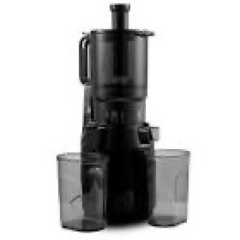 Slow Masticating Juicer Self Feeding