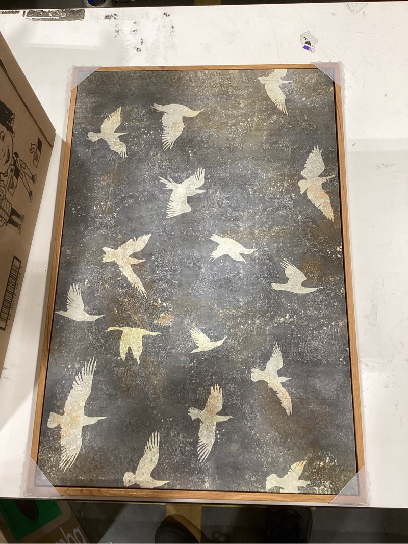 Condition photo showing Good Condition for InSimSea Framed Canvas Wall Art Vintage Decor, Home Decor Painting Gold Flying Bird Collage Large Wall Decorations for Living Room, Landscape Modern Canvas Pictures Art for Bedroom Gallery, 16"x24" Retro Flying Bird 24"L x 16"W