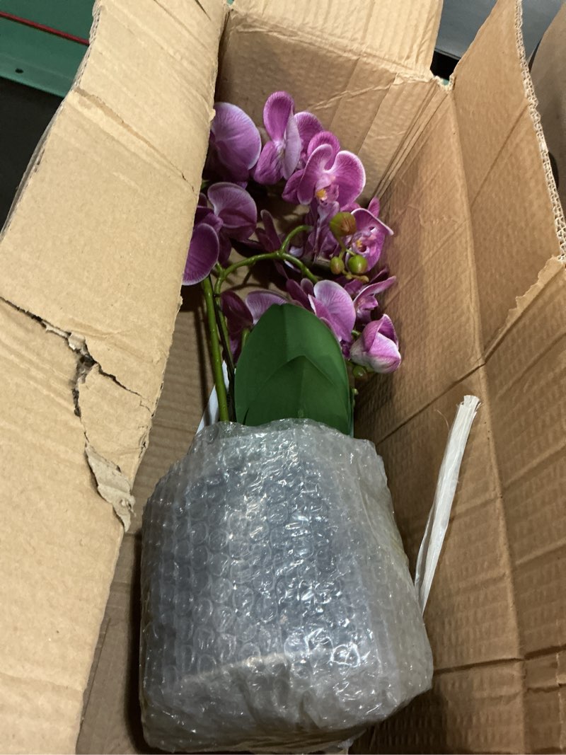 Condition photo showing Good Condition for avoeco artificial real touch orchid plant – 20? faux phalaenopsis in pot – highly realistic silk orchid flower & leaf texture for home, office,shop & wedding décor (fuchsia, 20”) fuchsia 20”
