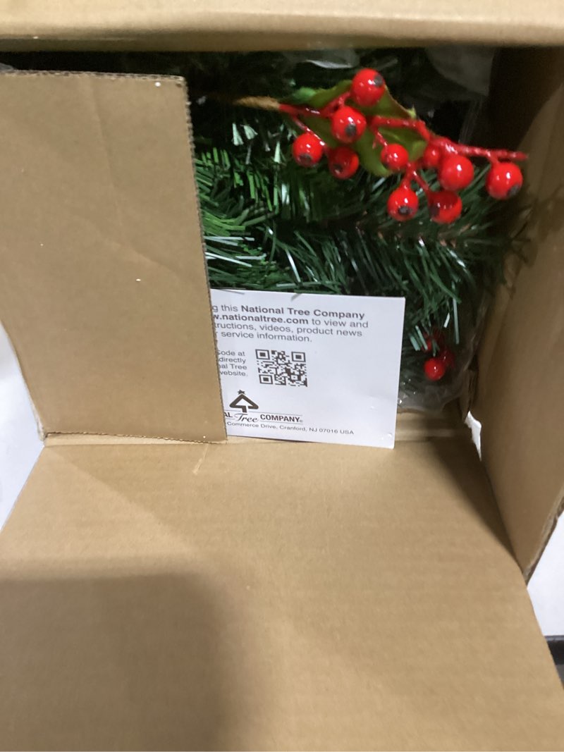 Condition photo showing Good Condition for National Tree Company 9 ft Pre-Lit Wintry Pine Flocked Artificial Christmas Garland, Christmas Decoration with Pinecones, Red Berries, 100 Clear Lights, 184 Tips, Green