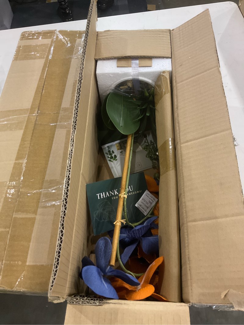 Condition photo showing New/Like New for Auburn Orchid Plant Set of 2 - University of Auburn Faux Orchid Plant, Auburn Gifts for Men, Auburn Gifts for Women, Auburn Gifts - Auburn Tigers Decorations, Desk Sets and Accessories for Women