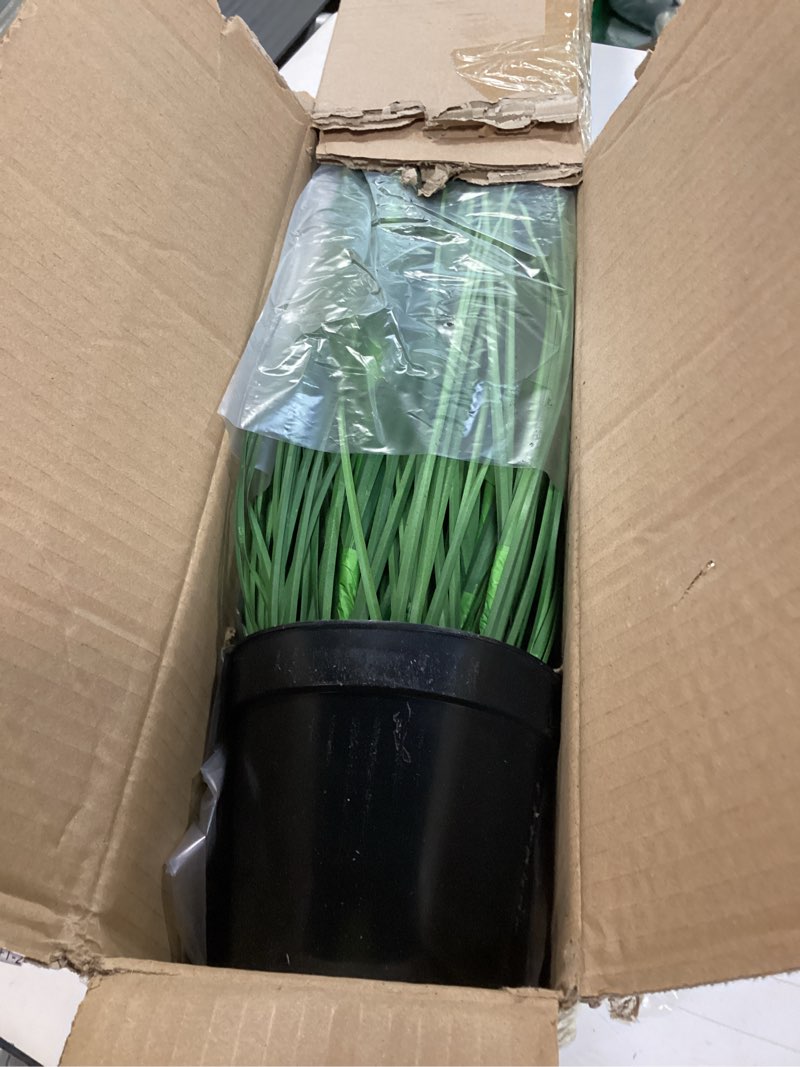 Condition photo showing Good Condition for 35 Inch Artificial Tall Grass with Pink Cosmos Flowers, Fake Floor Plants, Faux Grass Plants, Indoor and Outdoor Home Decoration(2pack, 3ft) 3ft-2pack