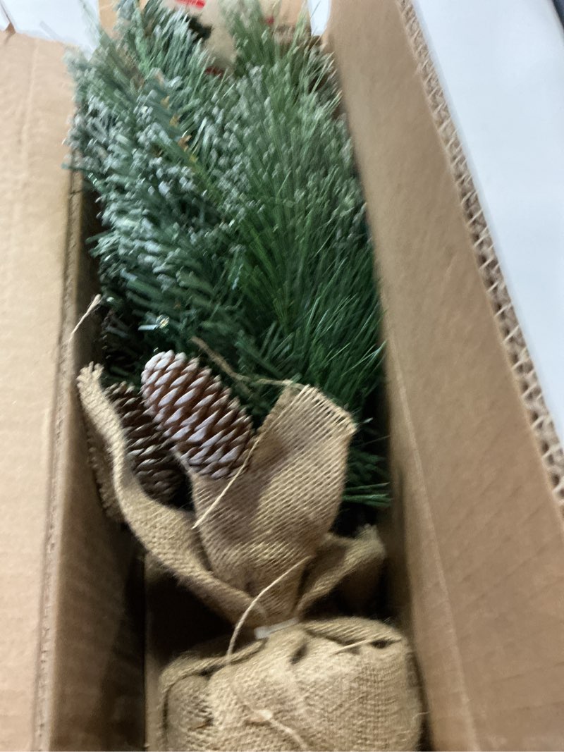Condition photo showing Good Condition for Northlight - Frosted Pine in Burlap Base Christmas Tree - 2ft Unlit(similar no same)
