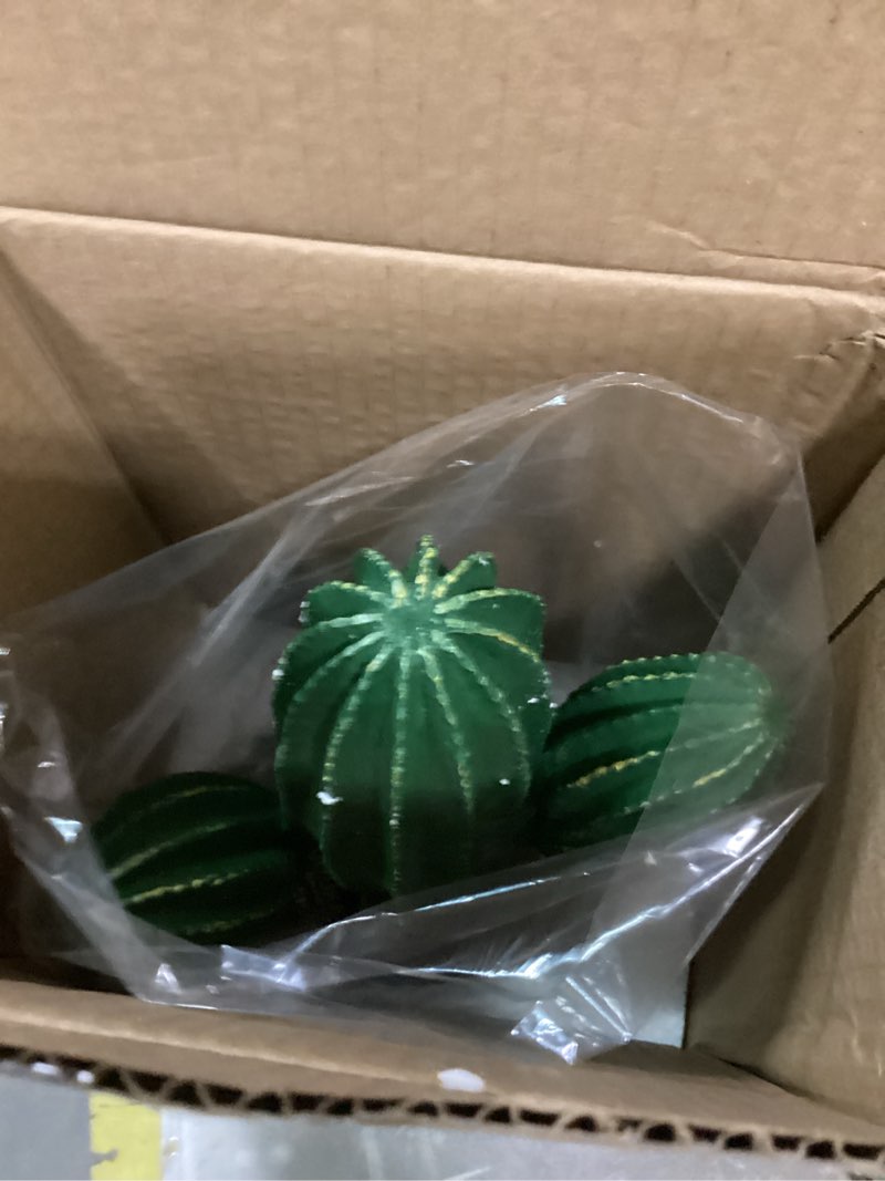 Condition photo showing Good Condition for Komodo Saguaro Cactus Reptile Tank Ornament