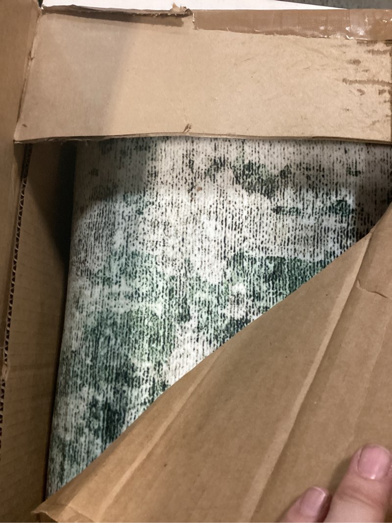 Condition photo showing Good Condition for garveehome 6x9 area rug for living room machine washable abstract rug modern non-slip backing soft stain resistant green green 6' x 9' (rectangular)