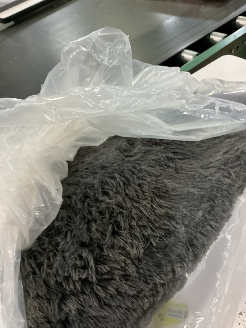 Condition photo showing As Is for Ophanie Area Rugs for Living Room Bedroom, Upgrade Non-Slip Fluffy Soft Grey Shag Carpet, Indoor Floor Gray 4x6 Fuzzy Shaggy Living Room Plush Rug for Kids Home Dorm Decor Aesthetic 4' x 6' (Rectangular) 1- Grey