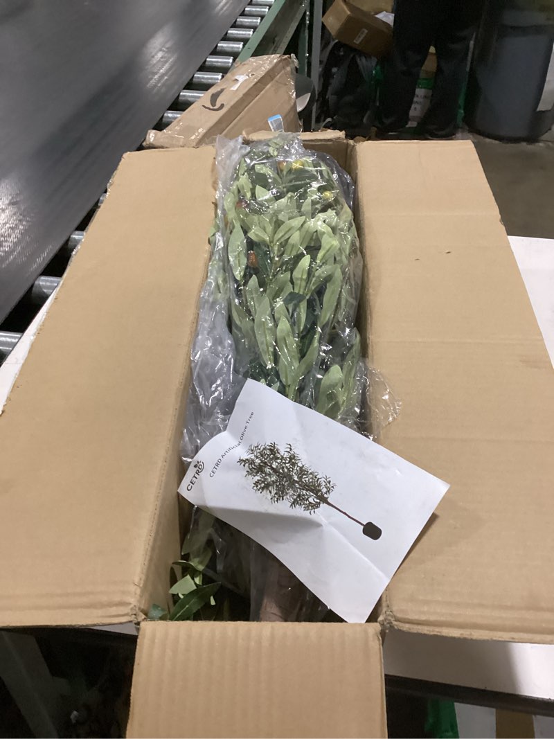 Condition photo showing New/Like New for TreeTrip Olive Tree Artificial Indoor, 6 FT Faux Olive Trees with Planter, Fake Tall Plants with Natural Trunk and Lifelike Fruits for Home Office Decor(1, 6FT)