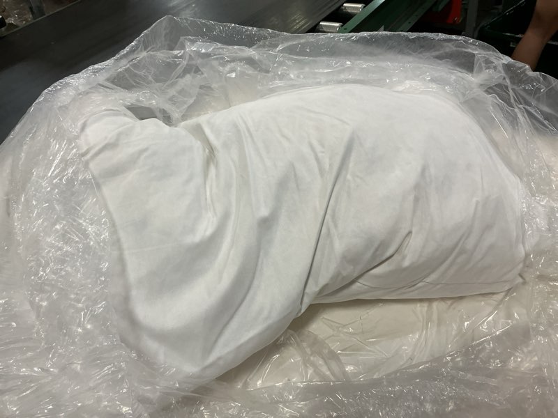 Condition photo showing As Is for premium feather pillow insert, 14x36, no color
