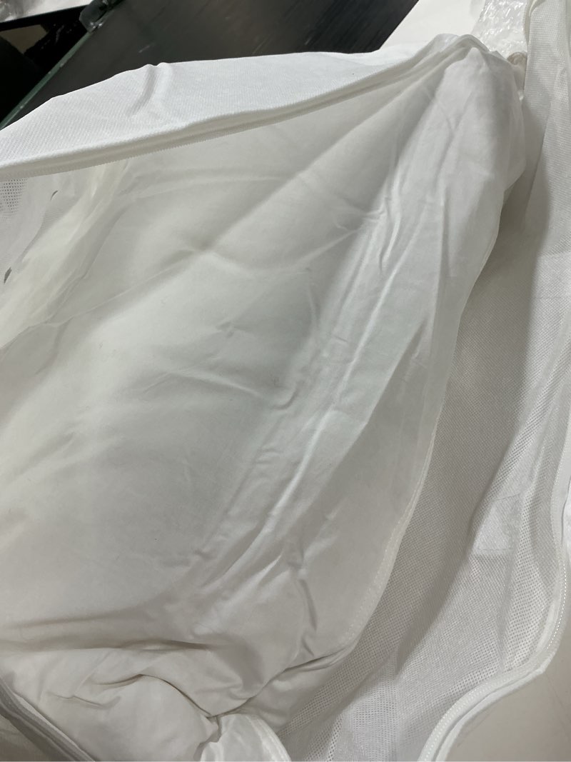 Condition photo showing Good Condition for luxe goose down pillow, standard, soft/medium