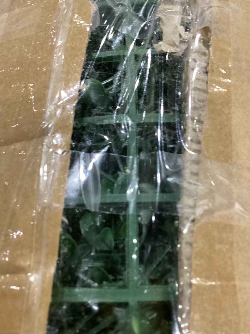 Condition photo showing Good Condition for artificial boxwood backdrop roll: 40"x120" (33.5 sqft) uv-anti greenery faux grass hedge for indoor outdoor green wall decor, patio privacy screen, garden fence covering