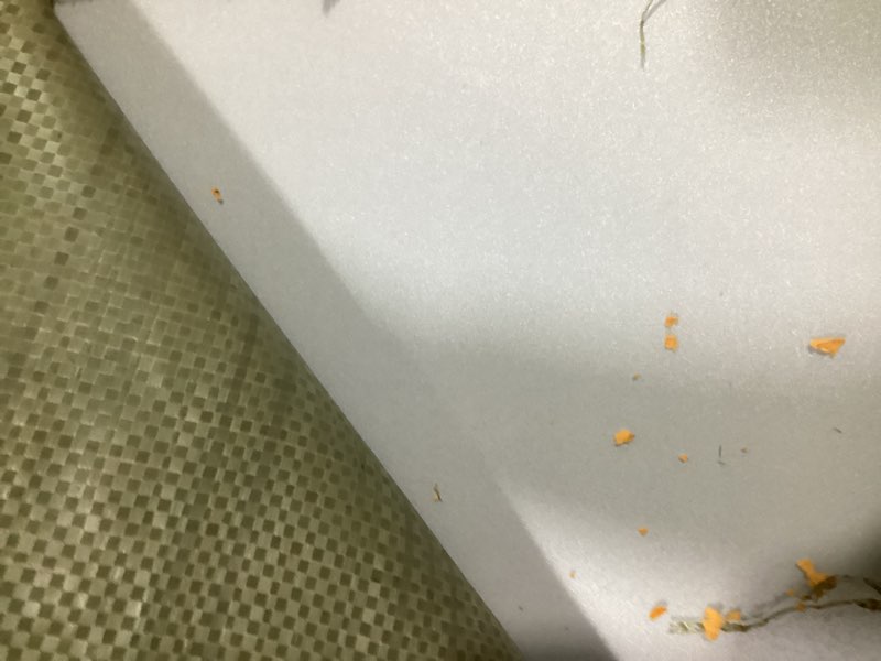 Condition photo showing Good Condition for blvornl frosted clear chair mat for hardwood floor, 32.3"*47.2" hard material office chair mat, memory plastic computer chair pad for rolling chairs, desk floor rug for office and home 32.3"*47.2" for hard floor thickness: 0.06inch