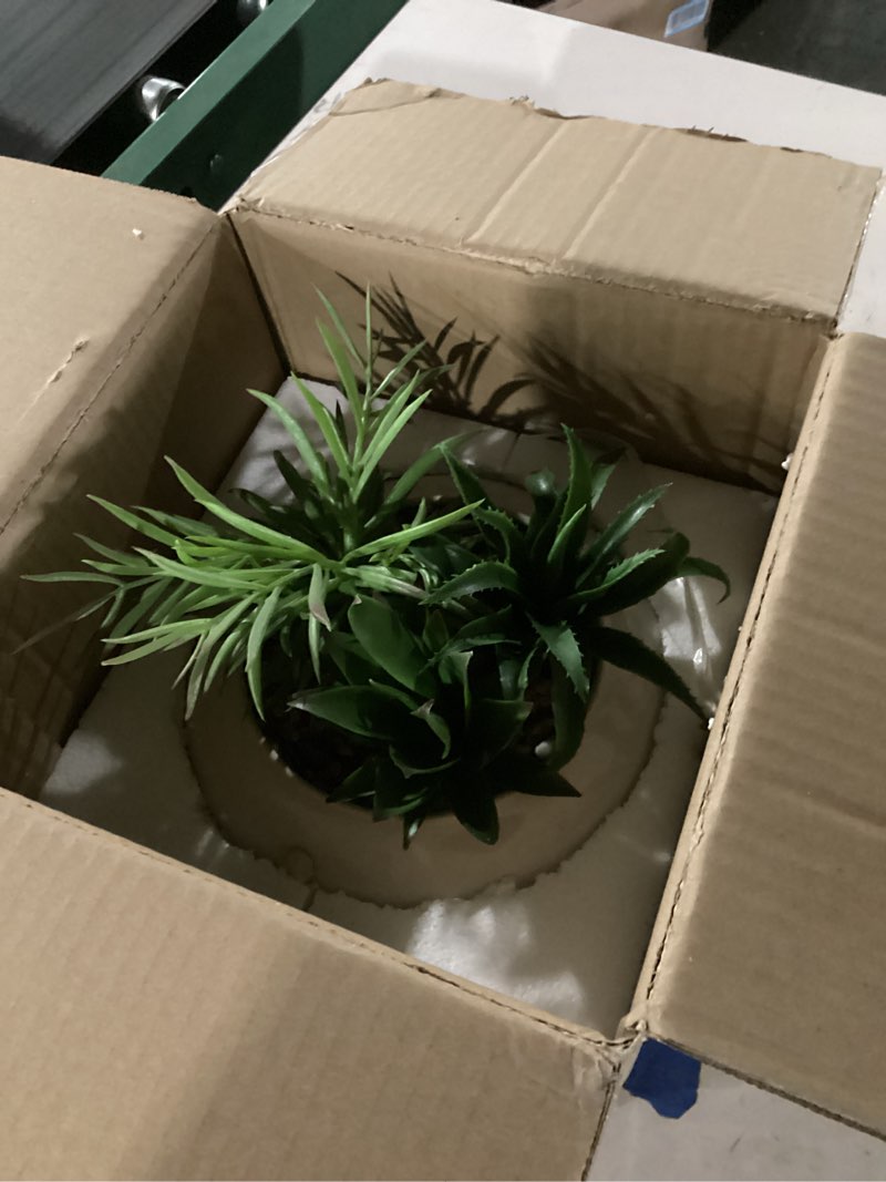 Condition photo showing Good Condition for Hollyone Large Artificial Succulents Plants Faux Succulents in Pots Fake Succulent Plastic Potted Plants with White Ceramic Pot for Home Decor Office Desk Bathroom Shelf Living Room Decoration 1pack - White Ceramic