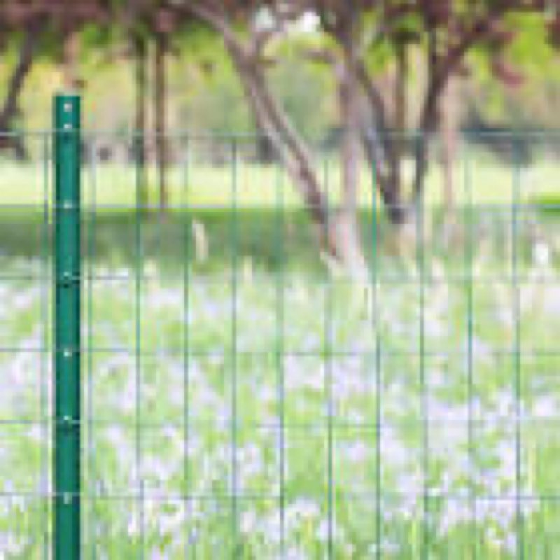 forehogar green pvc coated welded wire fence 36 inch x 100 foot, 2 inch x 3 inch 16ga, garden border