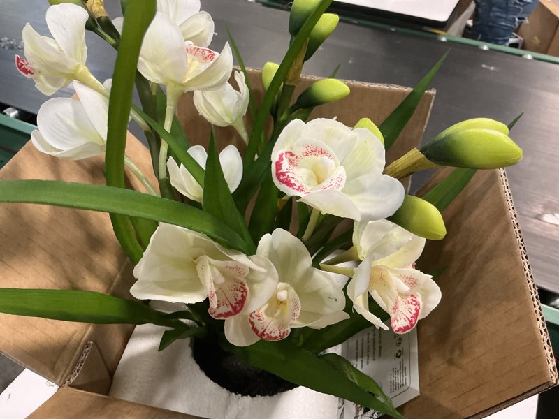 Condition photo showing Good Condition for artificial orchid flowers fake cymbidium plant in pot, 19" tall faux orchids for home decor indoor, lifelike silk flowers for centerpieces office arrangement-white