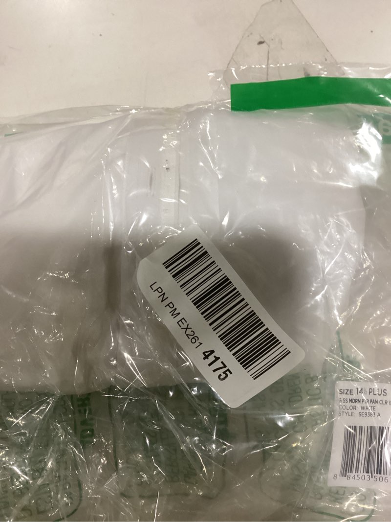 G SS MDRN PTR PAN CLR BLS PLUS