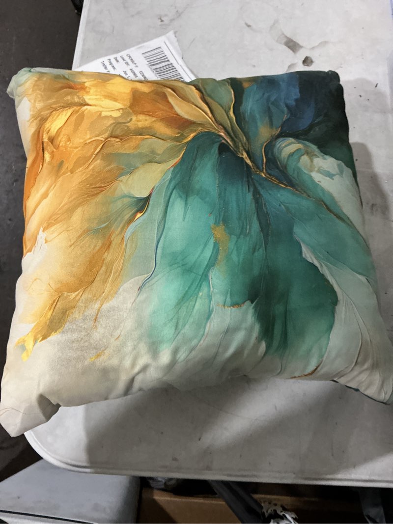 Condition photo showing Good Condition for similar to stock photo epicenter throw pillow