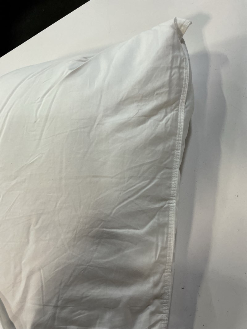 Condition photo showing Good Condition for luxe goose down pillow, standard, soft/medium