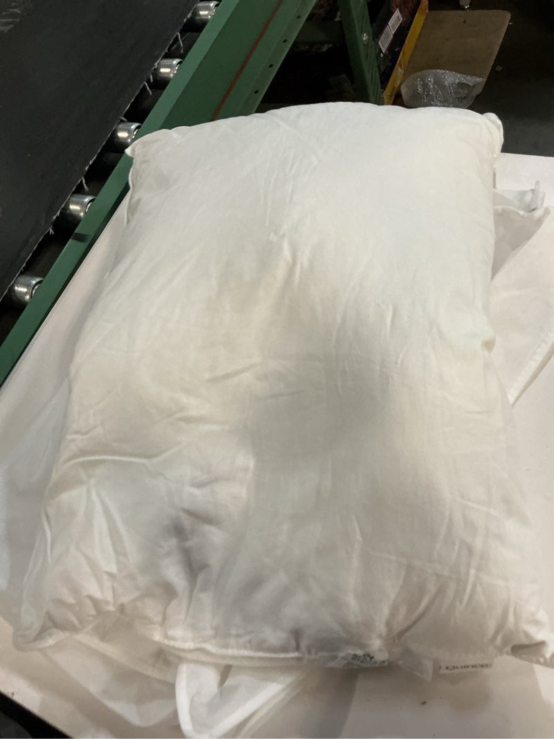 Condition photo showing Good Condition for quince luxe goose down pillow, standard, soft
