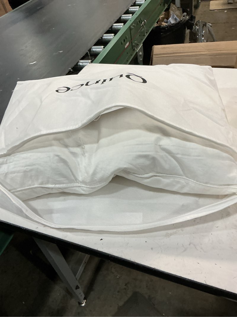 Condition photo showing Good Condition for quince premium down pillow standard soft