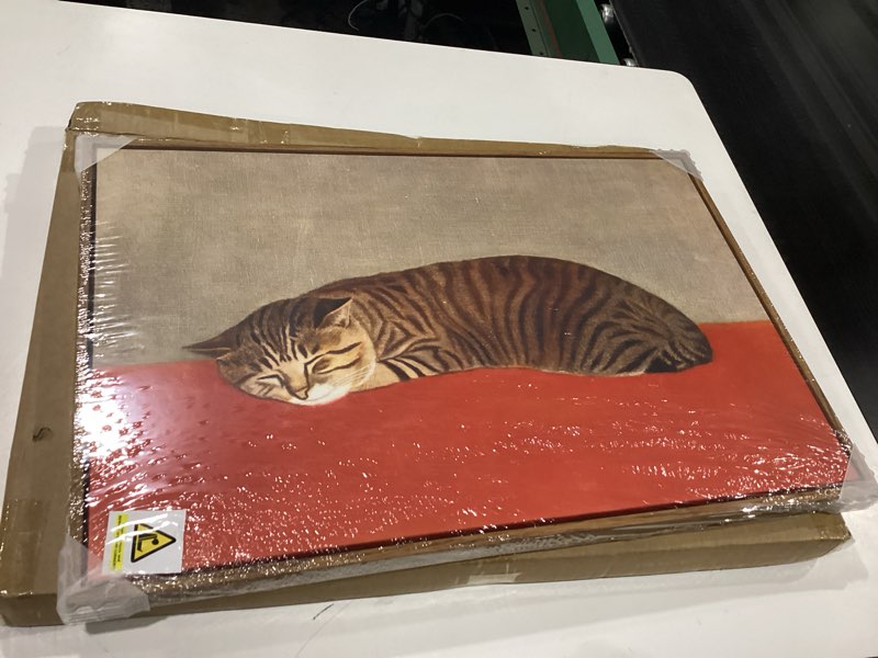 Condition photo showing New/Like New for framed vintage cat wall art for bedroom, modern minimalist neutral cozy animal canvas painting prints, retro brown earth tone aesthetic sleeping cat artwork for living room nursery wall decor, 16x24 24"l x 16"w orange & brown