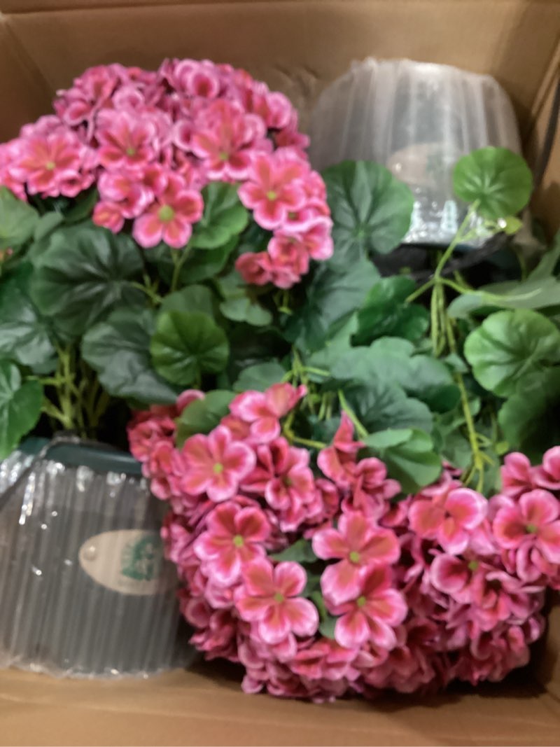 Condition photo showing New/Like New for qianyun artificial geranium bush – 20 inch outdoor potted artificial plant for front porch, uv resistant faux flower bush for garden, yard & patio decor (2 pack) dark pink