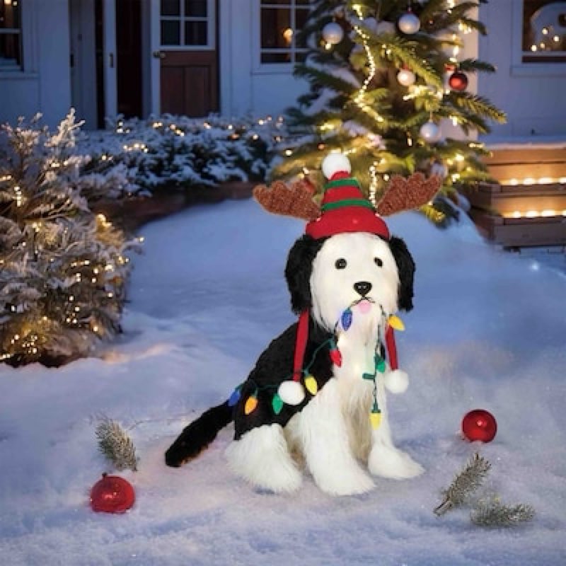 holiday living 2-ft led shaggy dog decoration
item #6030348 |
model #es67-759
shop holiday living