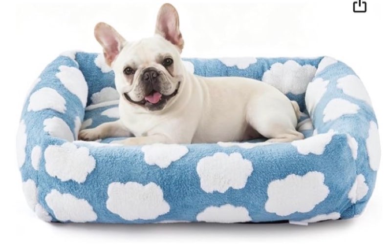 joejoy small dog bed for small dogs, rectangle washable orthopedic dog bed with removable zipper cov
