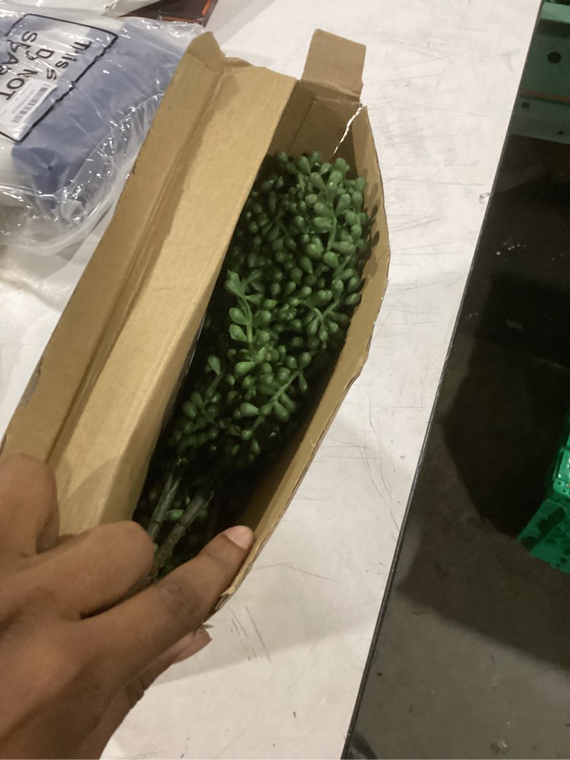 Condition photo showing Good Condition for dallisten 6 pcs artificial succulents hanging plants, fake string of pearls greenery plants, decoration for wall, home, backdrop, garden, indoor and outdoor