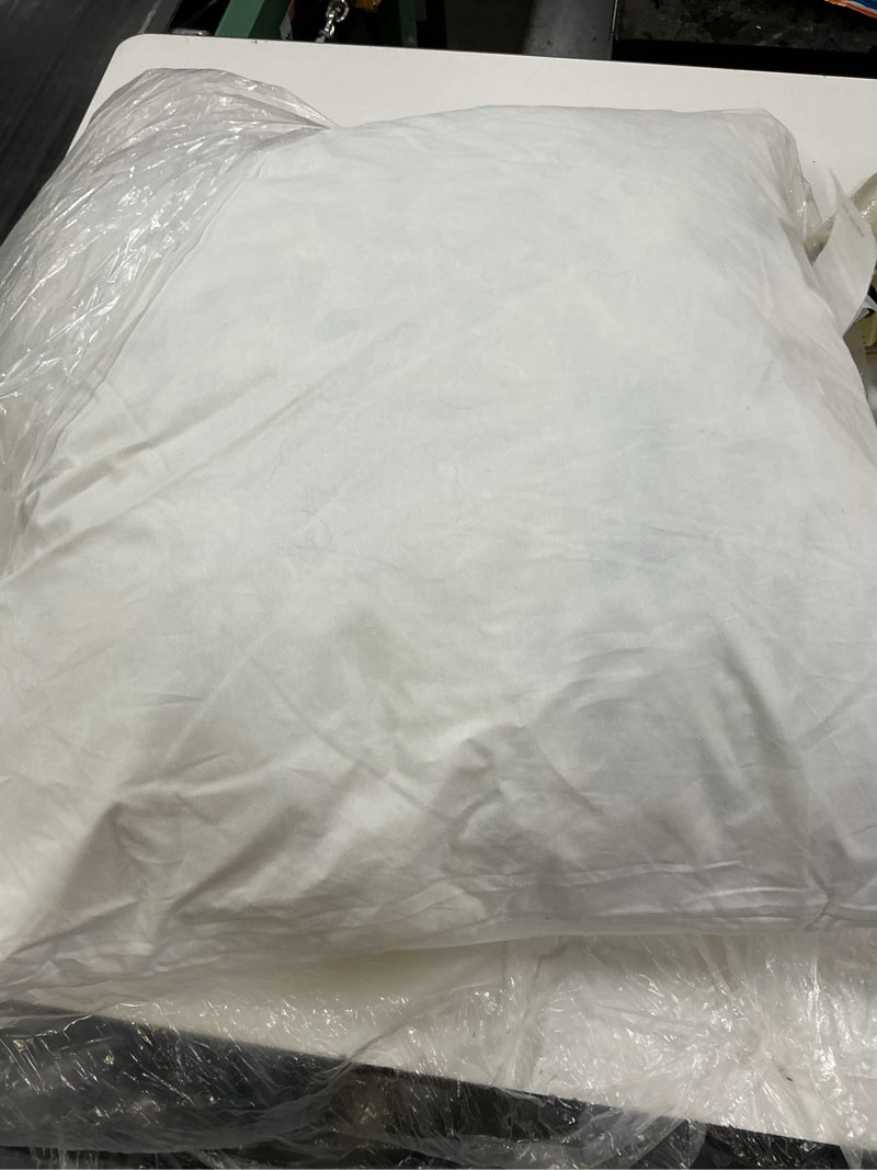 Condition photo showing As Is for premium feather pillow insert (set of 1), 20x20, no color